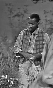 Don Powell