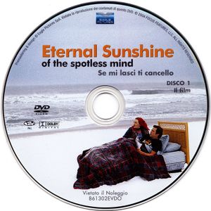 Eternal Sushine of the spotless mind: Se mi lasci ti cancello