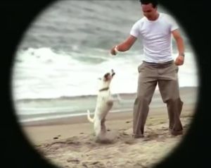 Blink-182: All The Small Things