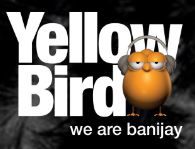 Yellow Bird