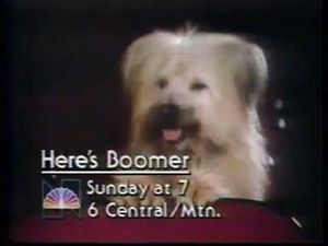 Here's Boomer