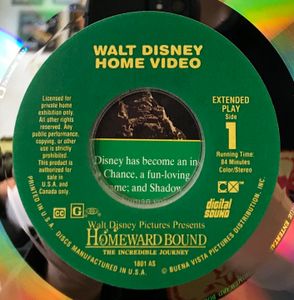 Homeward Bound: The Incredible Journey