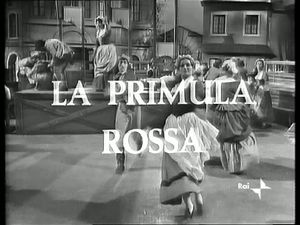 La Primula Rossa