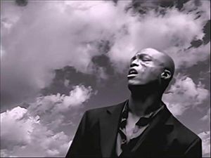 Seal: Fly Like An Eagle
