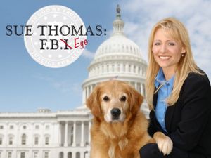 Sue Thomas: F.B.Eye