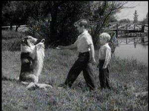 Lassie's Decision