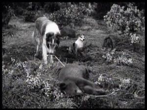The Archers