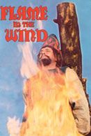 Flame in the Wind