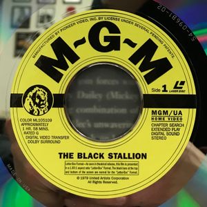 The Black Stallion (Deluxe Letter-Box Edition)