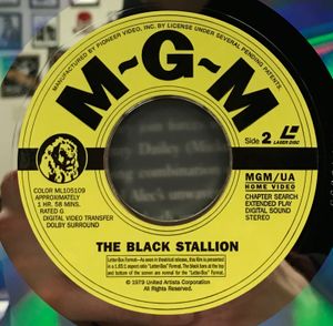 The Black Stallion (Deluxe Letter-Box Edition)