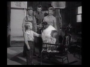 The Rocking Chair