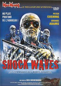 Shock Waves