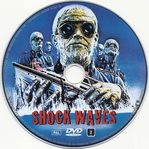 Shock Waves