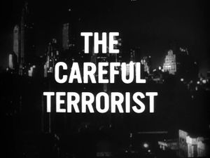 The Careful Terrorist