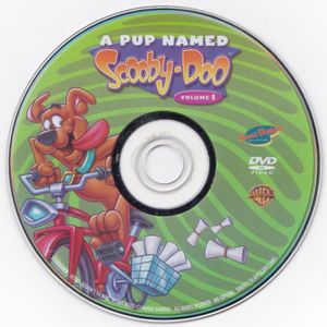 A Pup Named Scooby-Doo: Volume 1