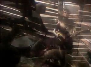 The Go-Betweens: Cattle and Cane