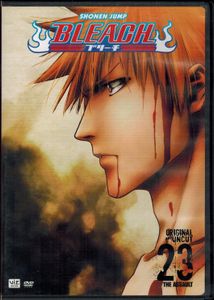 Bleach: The Assault - 23