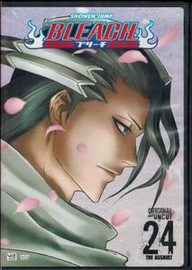 Bleach: The Assault - 24