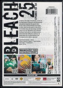 Bleach: The Assault - 25