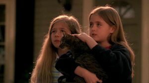 Cats in the Cradle...