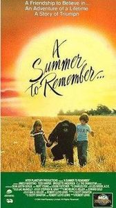 A Summer to Remember