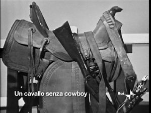 Buone Vacanze