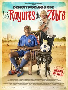 Les Rayures Du Zèbre