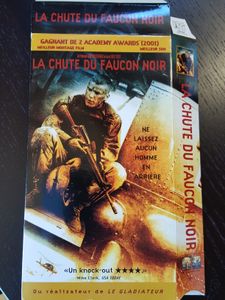 La chute du faucon noir