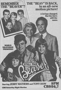 Still the Beaver