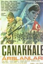 Çanakkale Arslanlari
