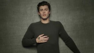 Shawn Mendes: In My Blood