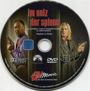 Im Netz der Spinne