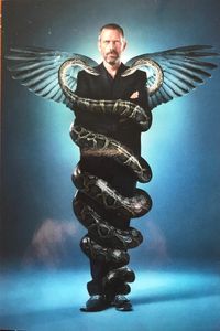 House - La Serie Completa