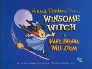 Have Broom Will Zoom