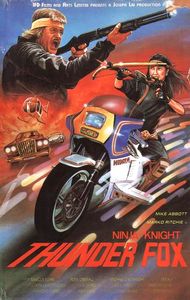 Ninja Knight: Thunder Fox