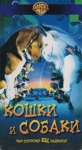 Кошки И Собаки