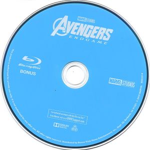 Avengers: Endgame (Multi-Screen Edition)
