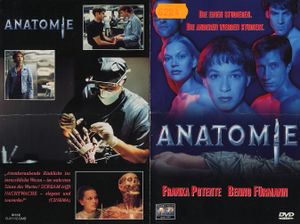 Anatomie