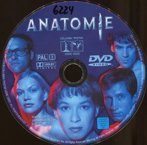 Anatomie