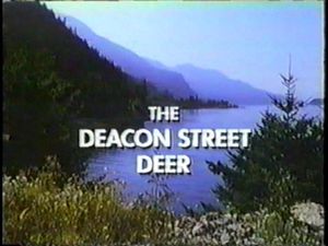 The Deacon Street Deer