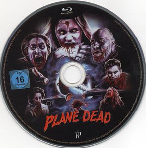 Plane Dead