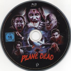 Plane Dead