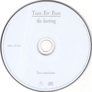Tears For Fears: The Hurting
