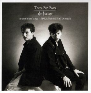 Tears For Fears: The Hurting