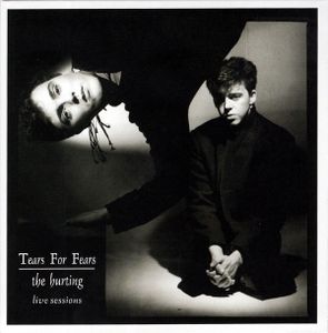 Tears For Fears: The Hurting