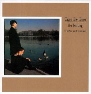 Tears For Fears: The Hurting