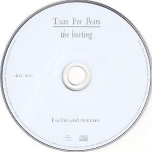 Tears For Fears: The Hurting