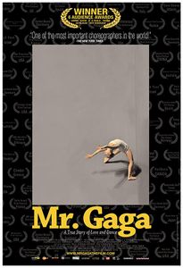 Mr. Gaga