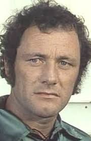 Michel Fortin