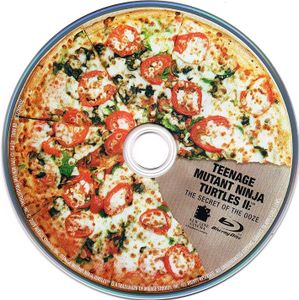 Teenage Mutant Ninja Turtles II: The Secret of the Ooze